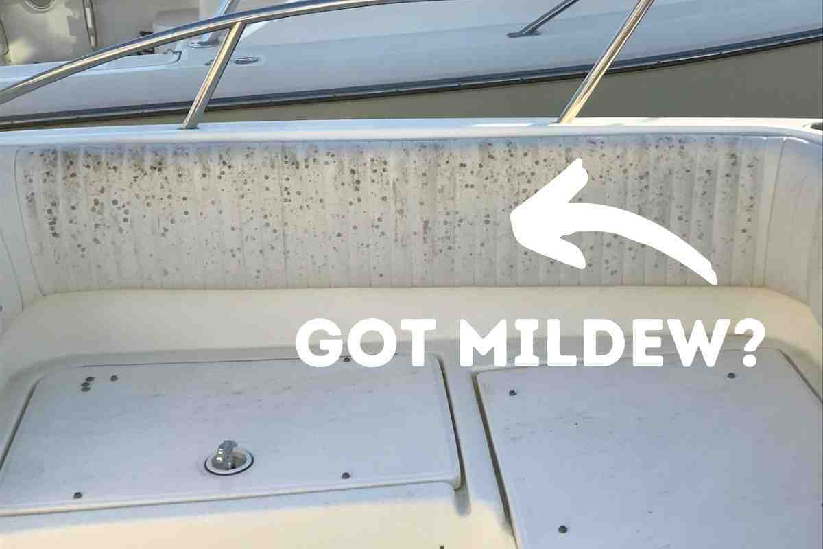 Best Boat Cleaner For Mildew Removal (Revealed!)