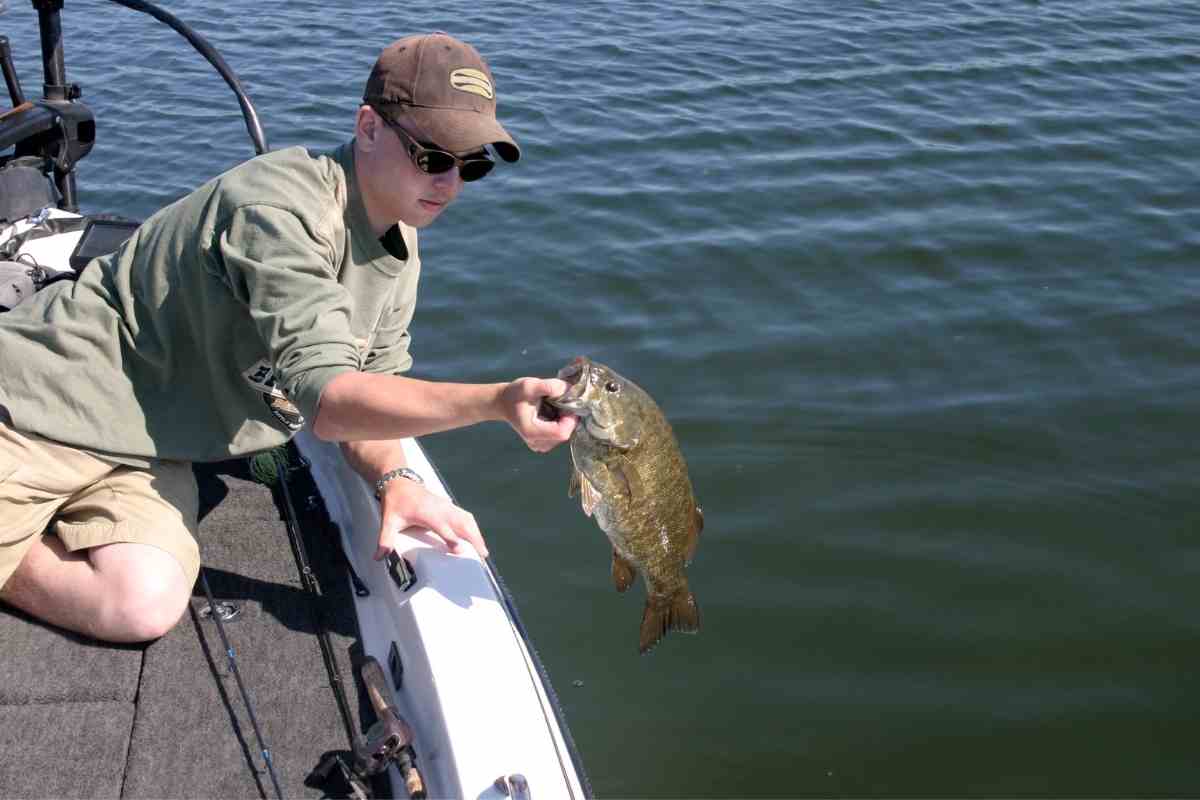 Upgrade Your Fishing Game: Best Bass Boat Accessories for Safety, Convenience, and Fun