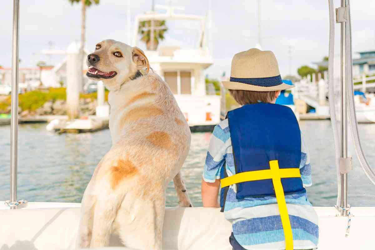 Boat Rentals in Florida: Your Guide to Exploring the Sunshine State's Waterways 1