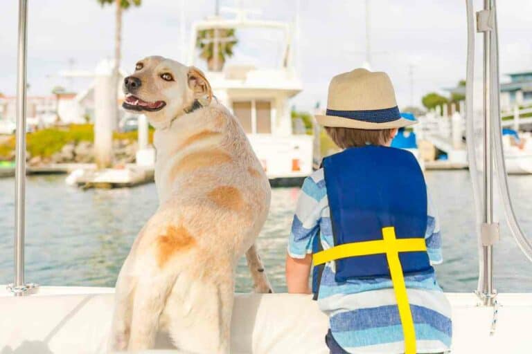 Boat Rentals in Florida: Your Guide to Exploring the Sunshine State’s Waterways