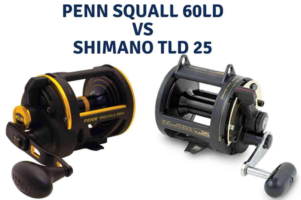 Penn Squall 60LD vs. Shimano TLD 25: A Comparative Analysis 1