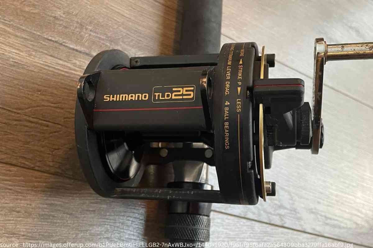 Shimano TLD Series Offshore Fishing Reels Review: A Comprehensive Guide 1
