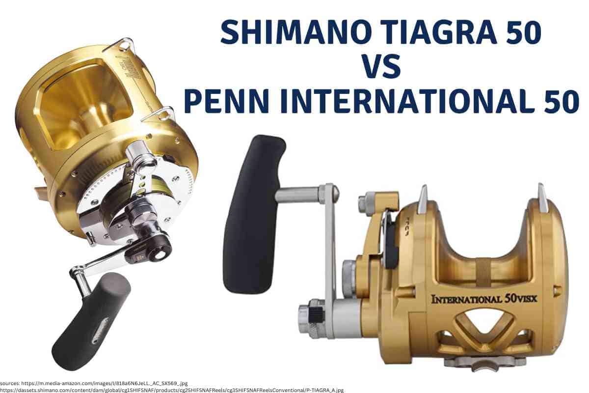 Shimano Tiagra 50 vs Penn International 50: A Comprehensive Comparison 1