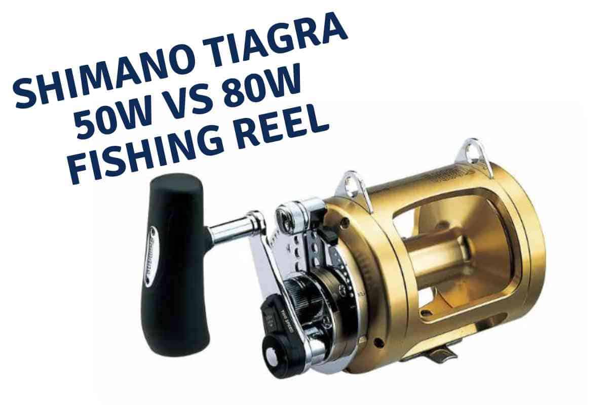 Shimano Tiagra 50w vs 80w Fishing Reel: Which One Should You Choose? 1