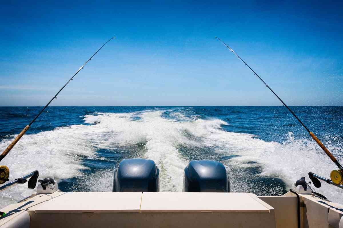 Shimano Tiagra 50w vs 80w Fishing Reel: Which One Should You Choose? 2