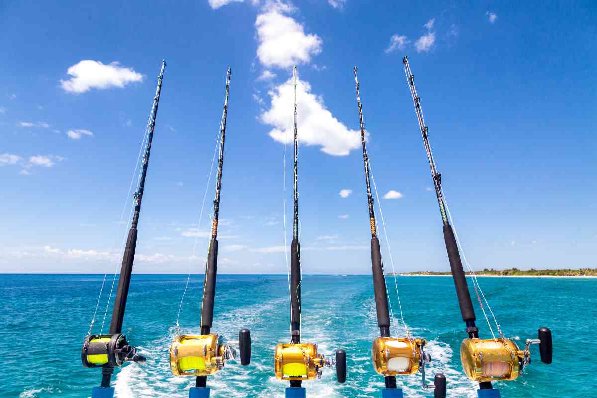 Shimano Tiagra 50w vs 80w Fishing Reel: Which One Should You Choose? 4