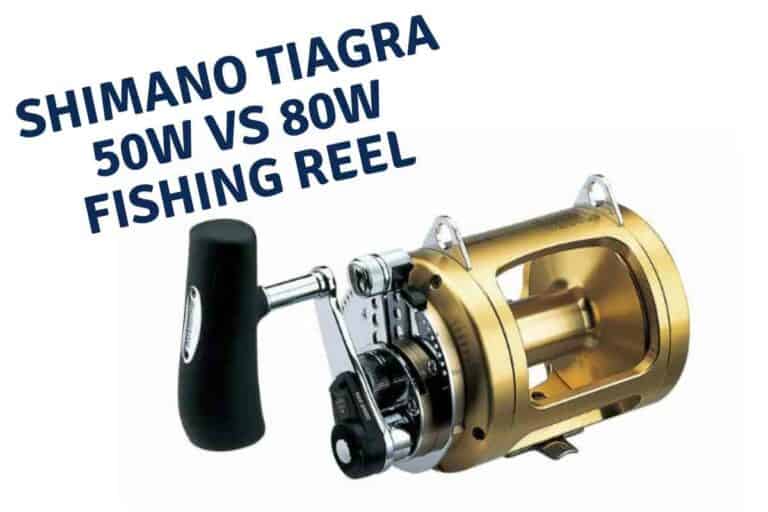 Shimano Tiagra 50w vs 80w Fishing Reel: Which One Should You Choose?