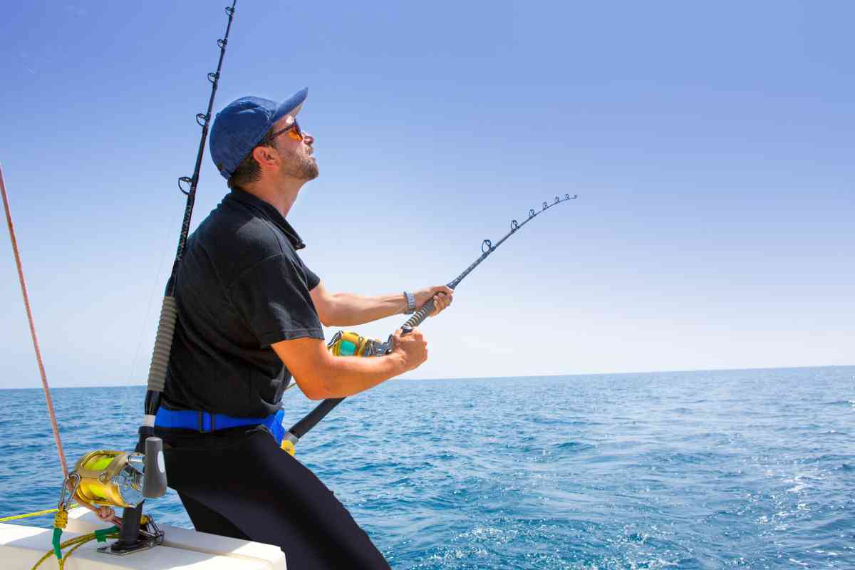 How to Choose the Right Shimano Saltwater Fishing Reel for Offshore Fishing: A Beginner's Guide 2