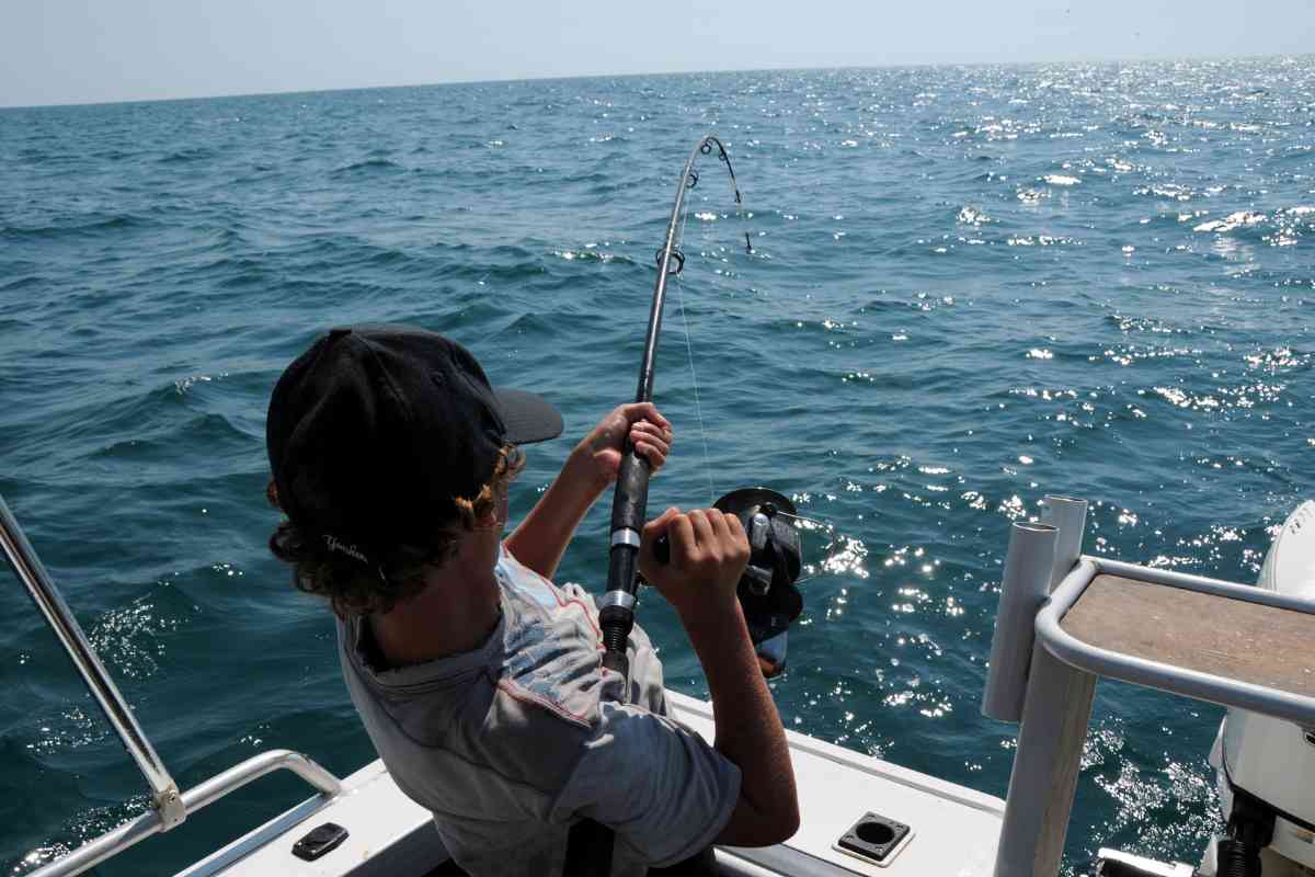 How to Choose the Right Shimano Saltwater Fishing Reel for Offshore Fishing: A Beginner's Guide 3