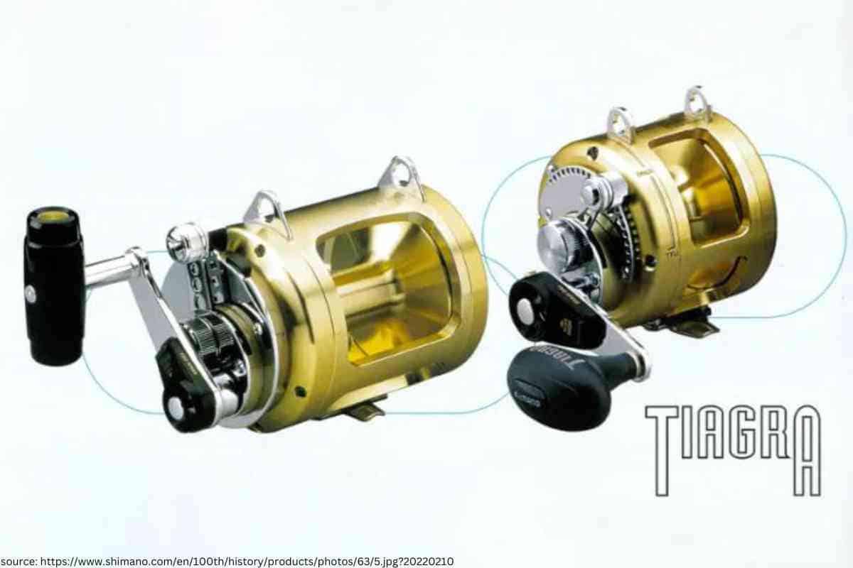 Shimano Tiagra Offshore Fishing Reels Reviews (12, 16, 20, 30, and 50) 2