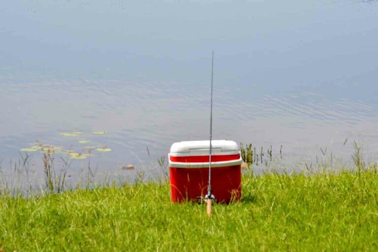 Best Coolers for Fishing: 13 Top Picks for Anglers in 2023