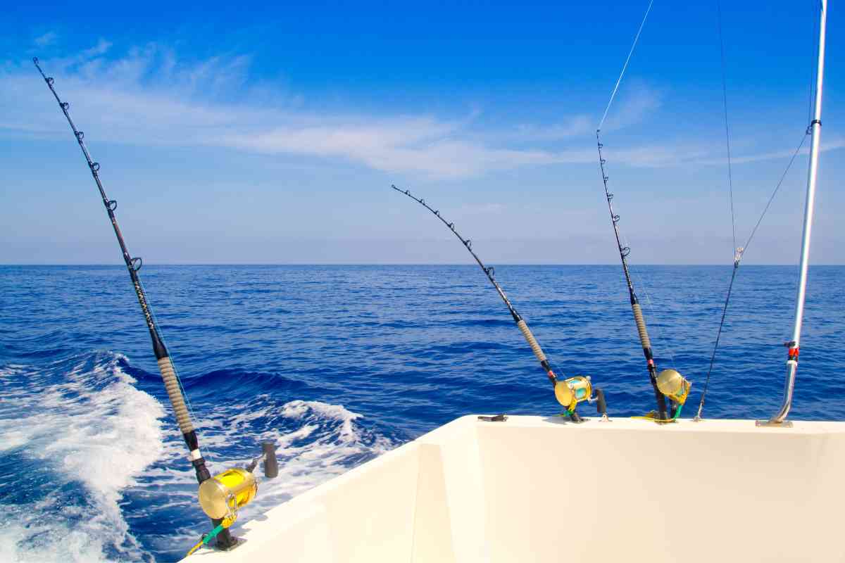 Best Saltwater Fishing Boats for All Anglers 2