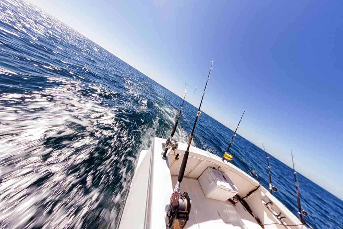 Best Saltwater Fishing Boats for All Anglers 3