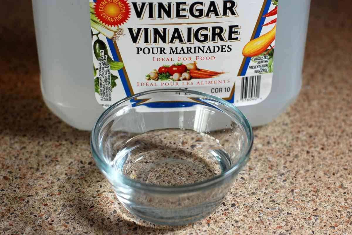 Will Vinegar Remove Mold from Boat Seats? A Comprehensive Guide 1